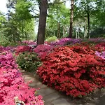 Гостьовий будинок Gasthaus Hotel Bremen 3*