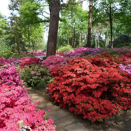 Penzion Gasthaus Hotel Bremen 3*