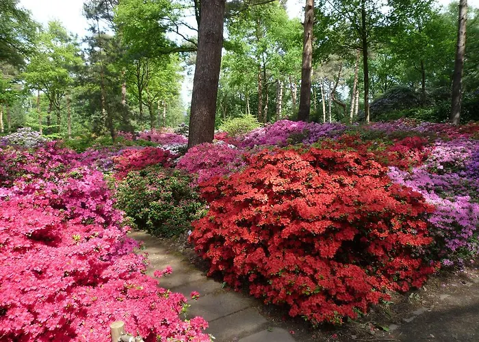 Гостьовий будинок Gasthaus Hotel Bremen 3*